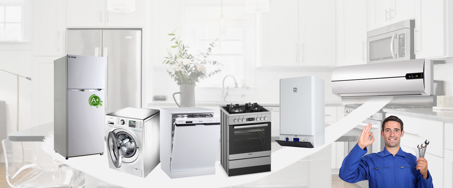 Ekinözü Gaggenau Servisi